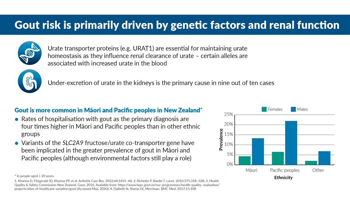 Gout slide 2