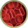 Blood cells